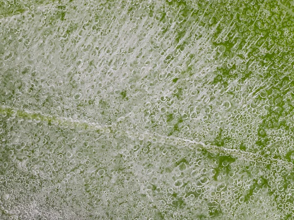 Brittle ice with bubbles — Stock Photo, Image