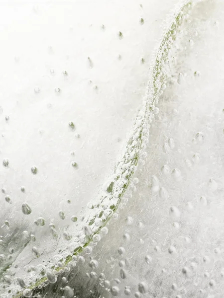 Grünes Blatt und Luftblasen — Stockfoto