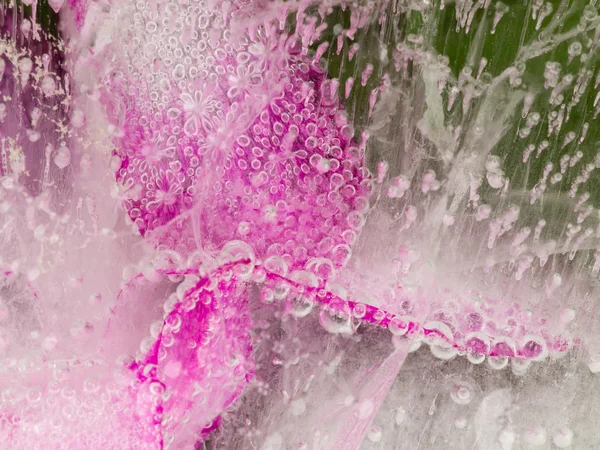 Beautiful bubbles on pink flower — Stock Photo, Image