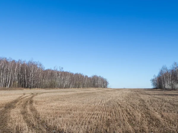 Au début du printemps en Russie — Photo