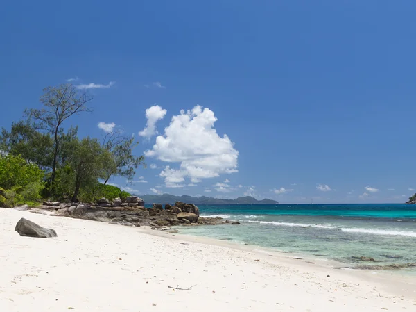 Beautiful sandy shores of the Ocean — Stock Photo, Image