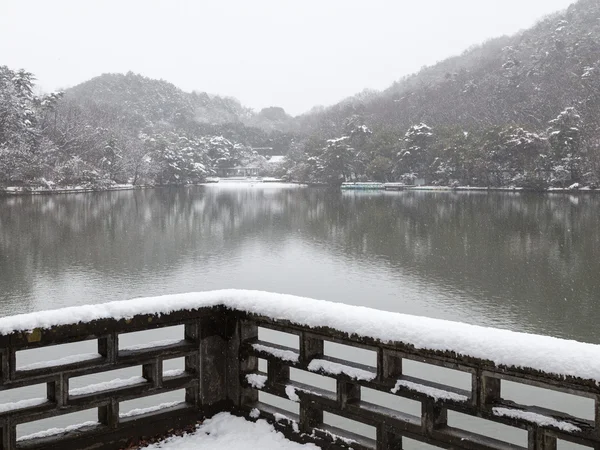 Snowfall on the lake — Stock Photo, Image