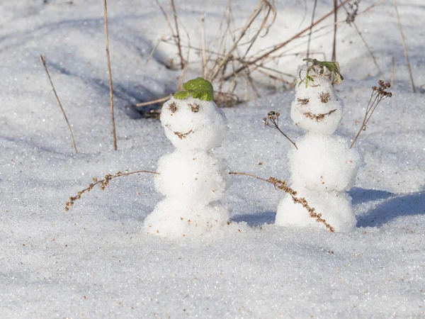 Dois boneco de neve bonito — Fotografia de Stock