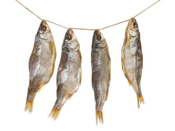 Quatre délicieux poissons séchés — Photo