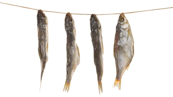 Dried fish on a rope — Zdjęcie stockowe