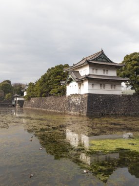 Kalenin güzel kulede