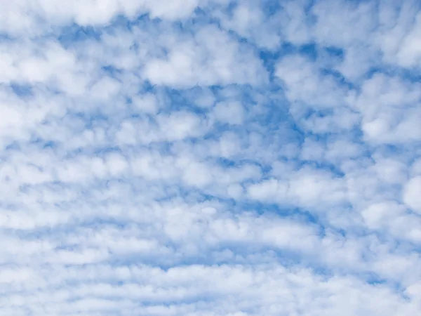 Muchas nubes de cúmulos esponjosas blancas —  Fotos de Stock