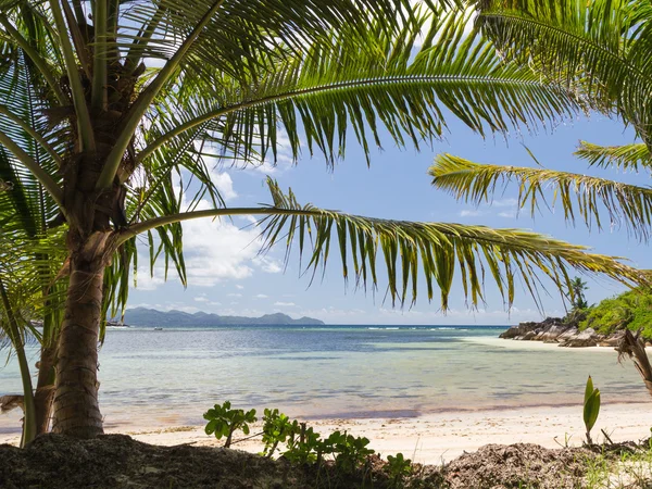 Exotischer Strand — Stockfoto