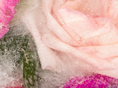 Organik kokulu pembe soyutlama