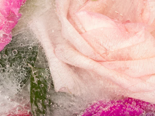Abstração orgânica perfumada rosa — Fotografia de Stock