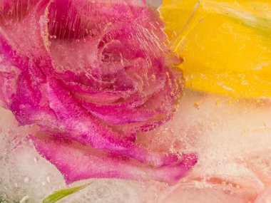 mor ve sarı kokulu soyutlama