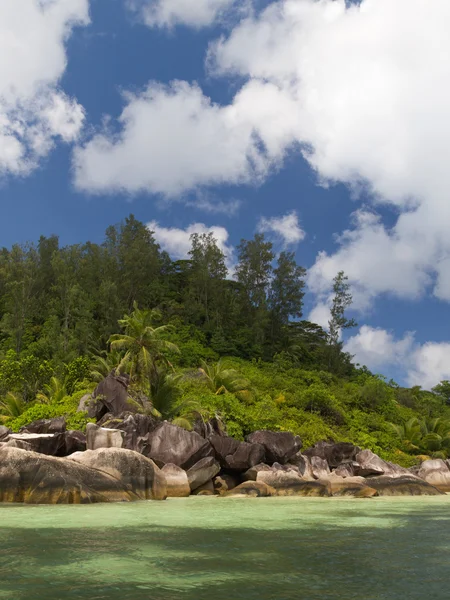 Isola con palme da cocco — Foto Stock