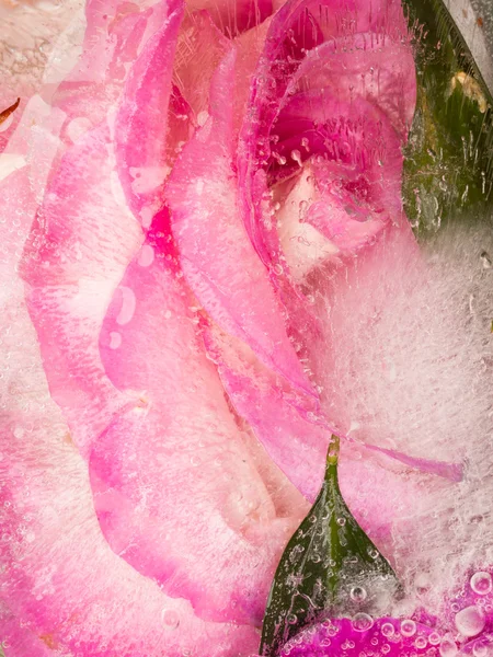 Abstração perfumada rosa brilhante — Fotografia de Stock