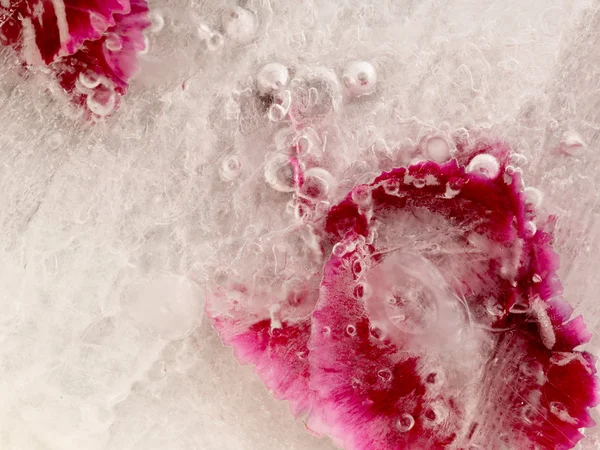 Dondurulmuş güzel soyutlama — Stok fotoğraf