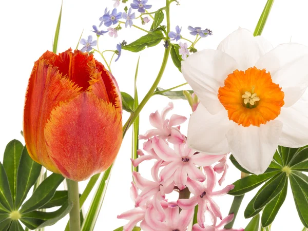 Piękne wiosenne kwiaty w jasny bukiet — Zdjęcie stockowe