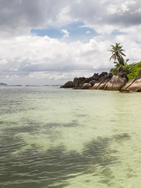 Uma ilha com um coqueiro — Fotografia de Stock