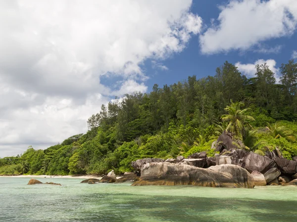 Vacker ö med kokos palmer — Stockfoto
