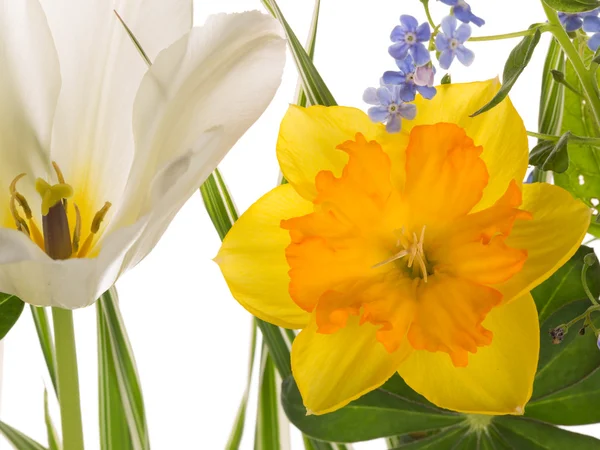 Narciso amarillo y ramo brillante de primavera — Foto de Stock