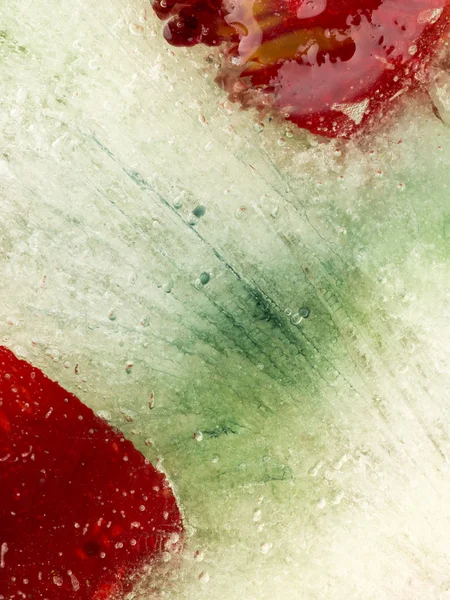 Ice organic abstraction — Stock Photo, Image