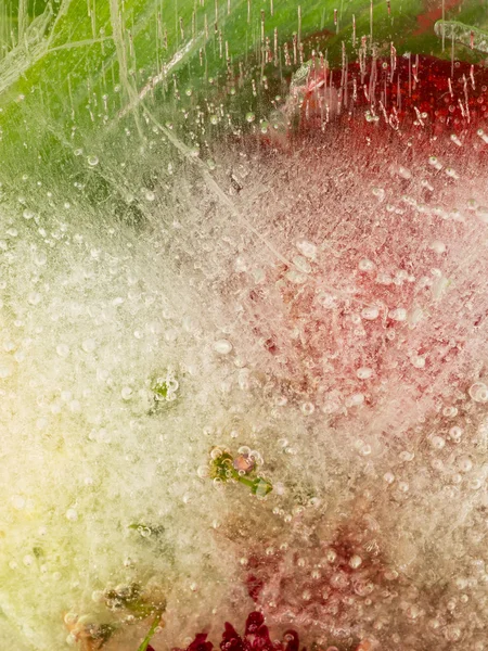 Ice abstraction — Stock Photo, Image