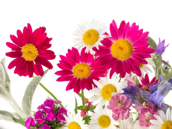 Field bouquet of bright summer — Stock Photo, Image