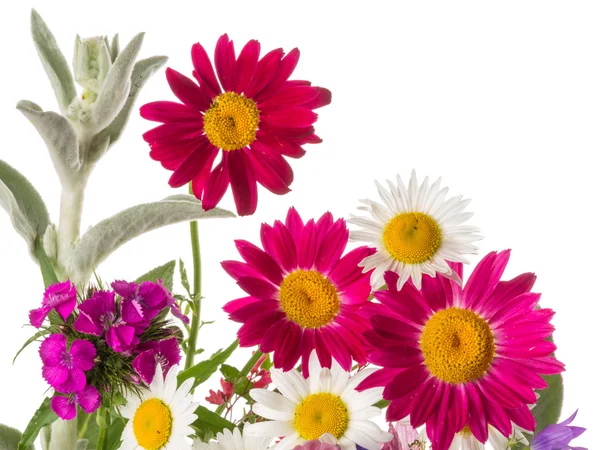 Bouquet joyeux coloré — Photo