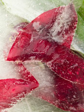 parlak organik soyutlama