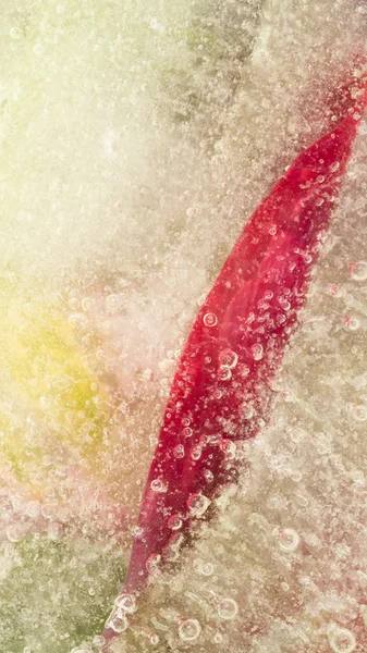 Vertical ice abstraction — Stock Photo, Image
