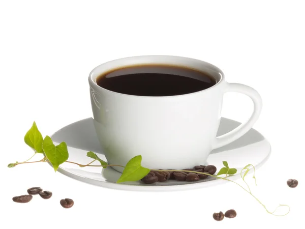 Cup of coffee and a branch bindweed — Stok fotoğraf