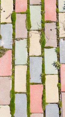 eski Bahçe yol ve moss