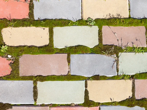 Faixa de tijolo multicolorido e musgo — Fotografia de Stock