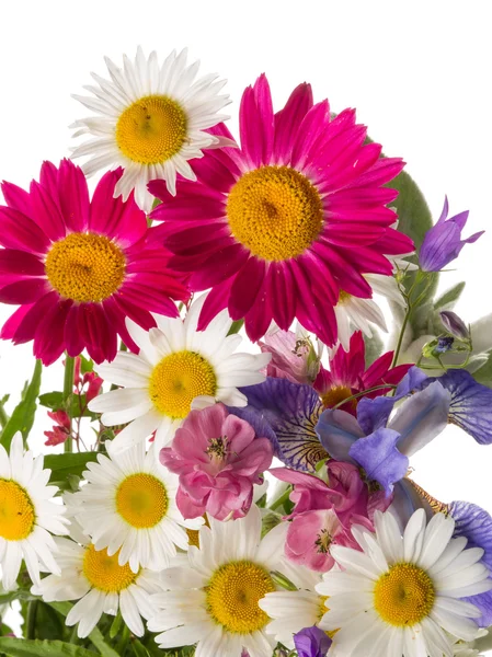 Bouquet allegro — Foto Stock