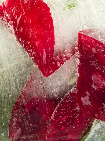 Красная вертикальная органическая абстракция — стоковое фото