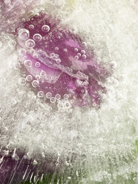 Beautiful ice — Stock Photo, Image