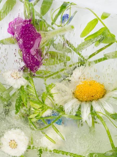 Abstraction of wildflowers — Stock Photo, Image