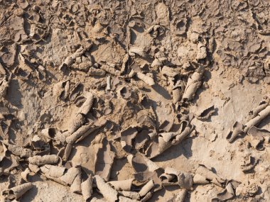 kahverengi toprak yol