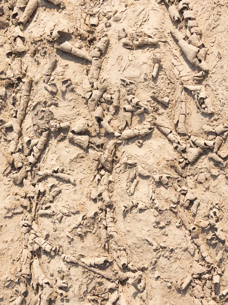 Сушеная грязь на грунтовой дороге — стоковое фото