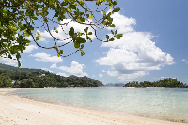 Sur l'île de Mahe — Photo