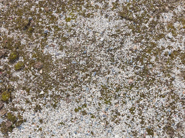 หินกรวดกระจายอยู่บนพื้นดิน — ภาพถ่ายสต็อก