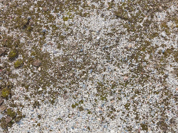 Cascalho espalhado no chão — Fotografia de Stock