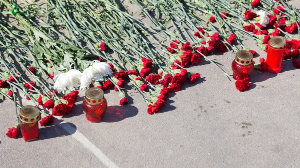 Fleurs sur le trottoir — Photo