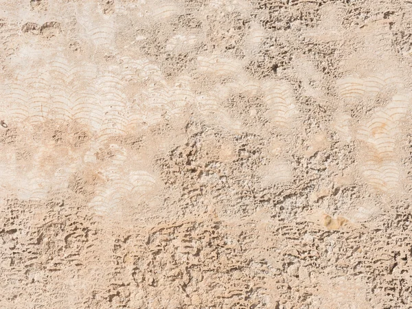 Eski bir harap beton duvar — Stok fotoğraf