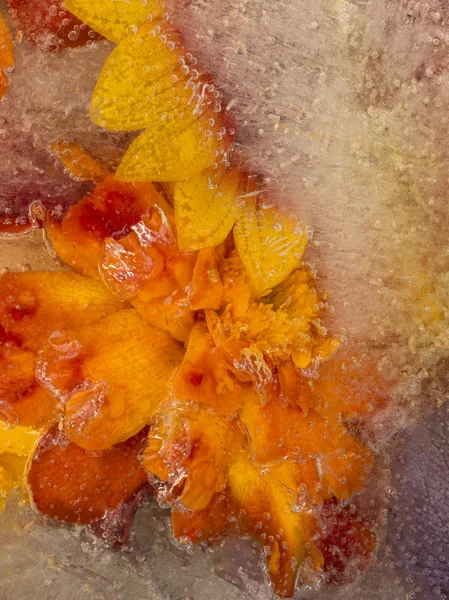 Abstracción de hielo naranja brillante —  Fotos de Stock