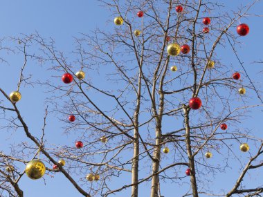 Noel topları çıplak bir ağaç üzerinde