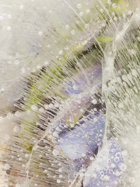 Buz içinde donmuş hava kabarcıkları — Stok fotoğraf