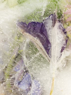 Dikey inci violett ve yeşil donmuş soyutlama