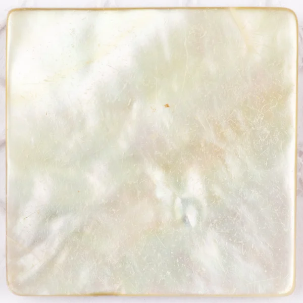 Beautiful pearl white plate — Stock Photo, Image