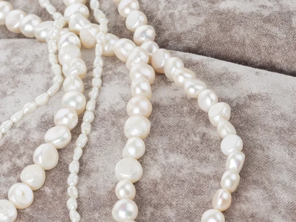 Beautiful pearl beads on velvet — Stock Photo, Image