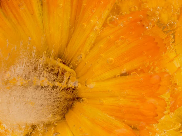Bright orange abstract organic ice — Stock Photo, Image