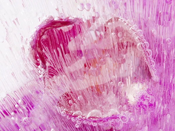 Abstração rosa com belas bolhas de ar — Fotografia de Stock